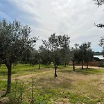 Perla D'oriente -
