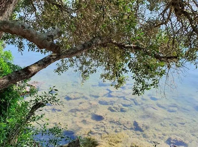 Guest house Perla D'oriente - 3*