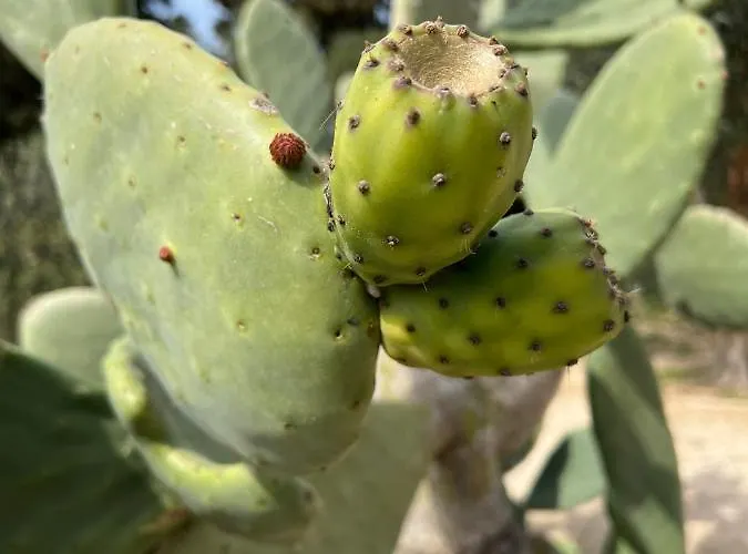 Perla D'oriente - 3* Otranto